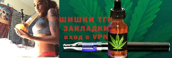 ECSTASY Костерёво