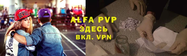 СК Коряжма