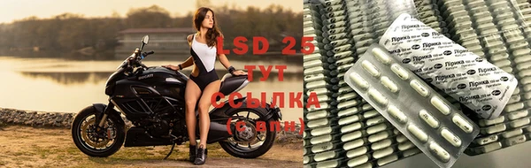 ECSTASY Костерёво