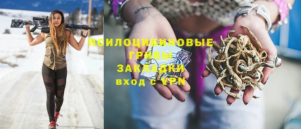 молекула духа Козельск