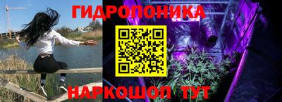 спайс Будённовск
