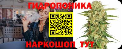 спайс Будённовск