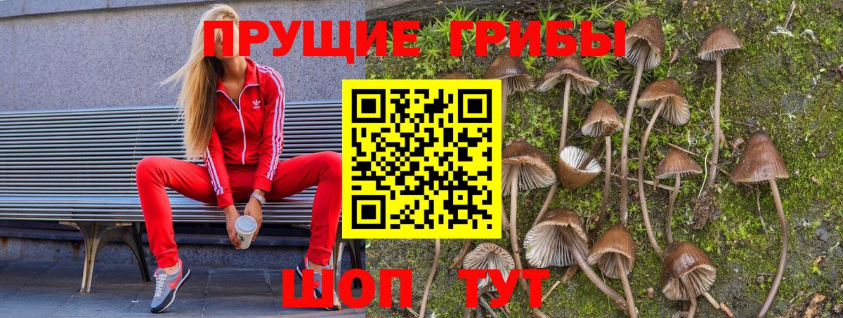 Костомукша  Псилоцибиновые грибы Magic Shrooms  наркота  Вход с VPN 